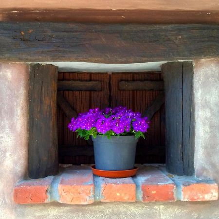 Casa Rural El Cotu En Cangas De Onis Bagian luar foto