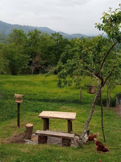 Casa Rural El Cotu En Cangas De Onis Bagian luar foto