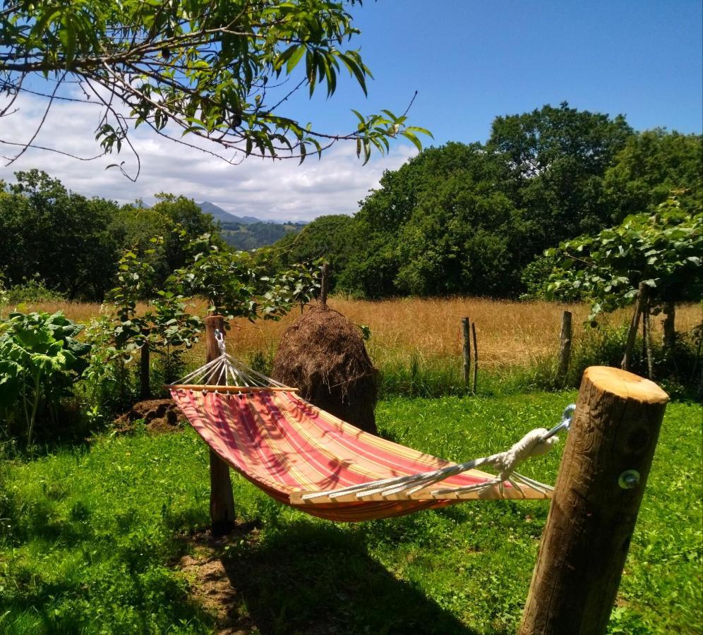 Casa Rural El Cotu En Cangas De Onis Bagian luar foto