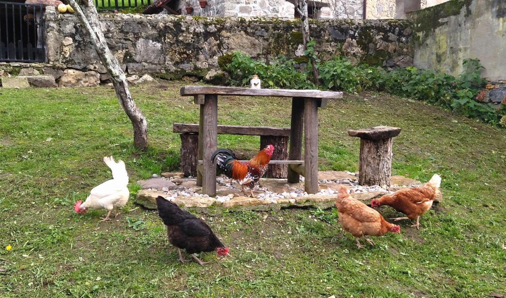Casa Rural El Cotu En Cangas De Onis Bagian luar foto