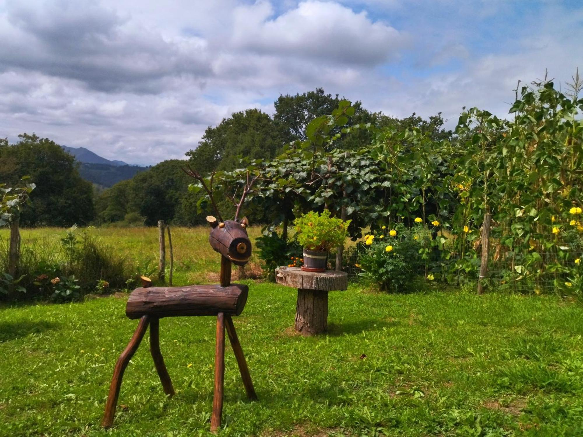 Casa Rural El Cotu En Cangas De Onis Bagian luar foto
